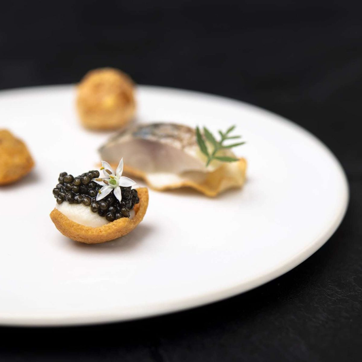 Les amuses bouches du Sphère sont toujours créatifs