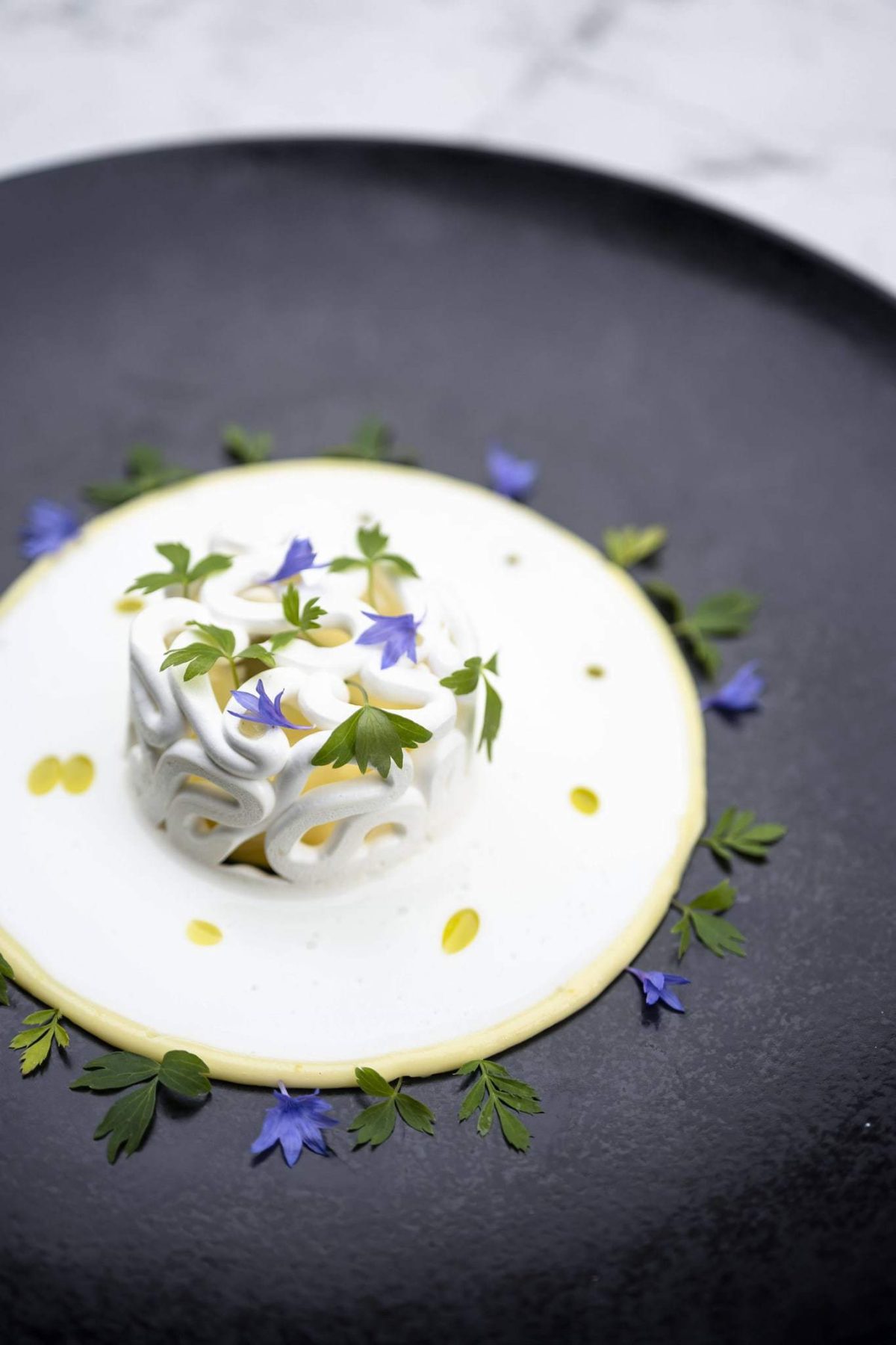 sphere restaurant paris plat DSC0622 1200x1800 - Sphère, le restaurant Paris gastronomique